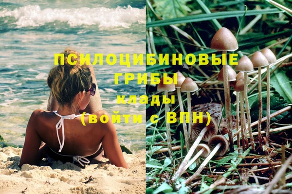 скорость Алексин