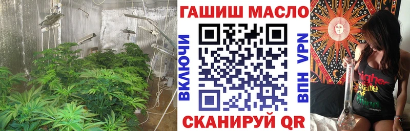 ТГК вейп с тгк  гидра маркетплейс  Новоалтайск 