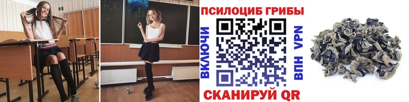 купить закладку  Новоалтайск  мега сайт  Псилоцибиновые грибы Magic Shrooms 